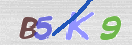 Code Anti-spam